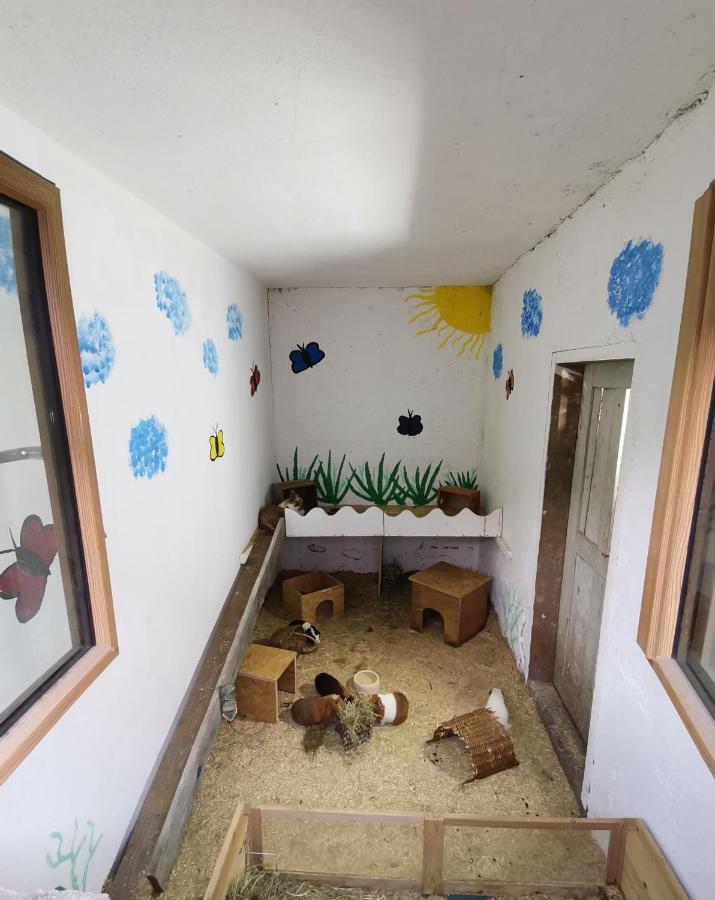 Hartl Hof Apartment Breitenberg  ภายนอก รูปภาพ